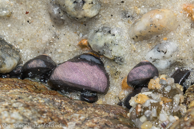 asilomar